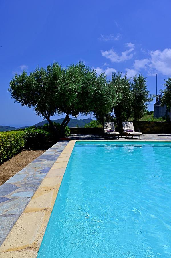 Erato Villa Skopelos Extérieur photo